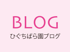 ひぐちばら園 公式 群馬県伊勢崎市のバラ農家